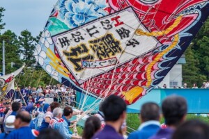 優秀賞<br />
皆が見守る、祝い大凧/櫻井 健一