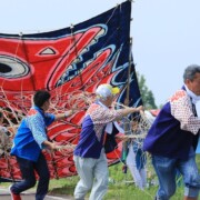 12月<br />
見せたい大凧